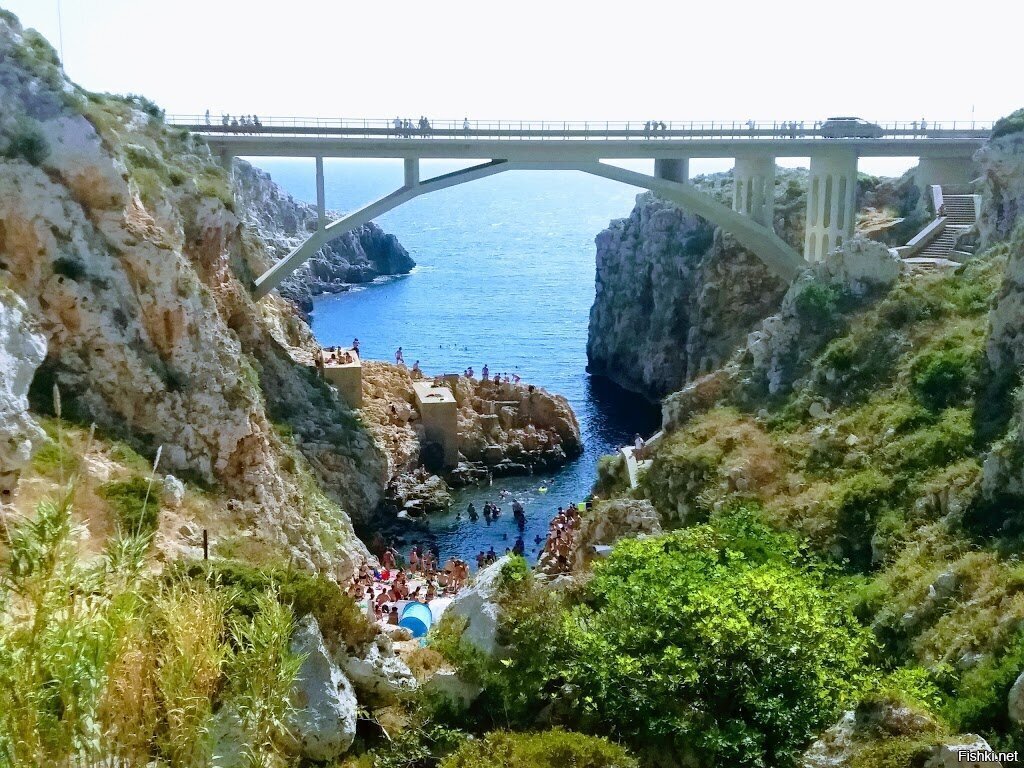 Солянка