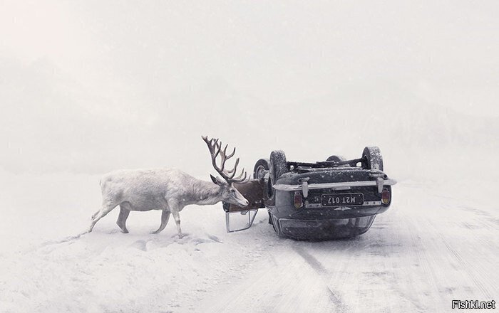 Солянка