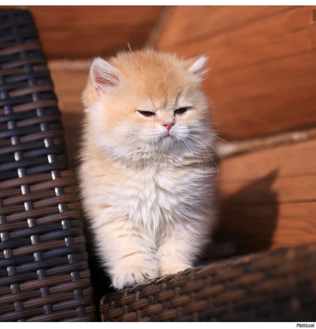 Доброе утро