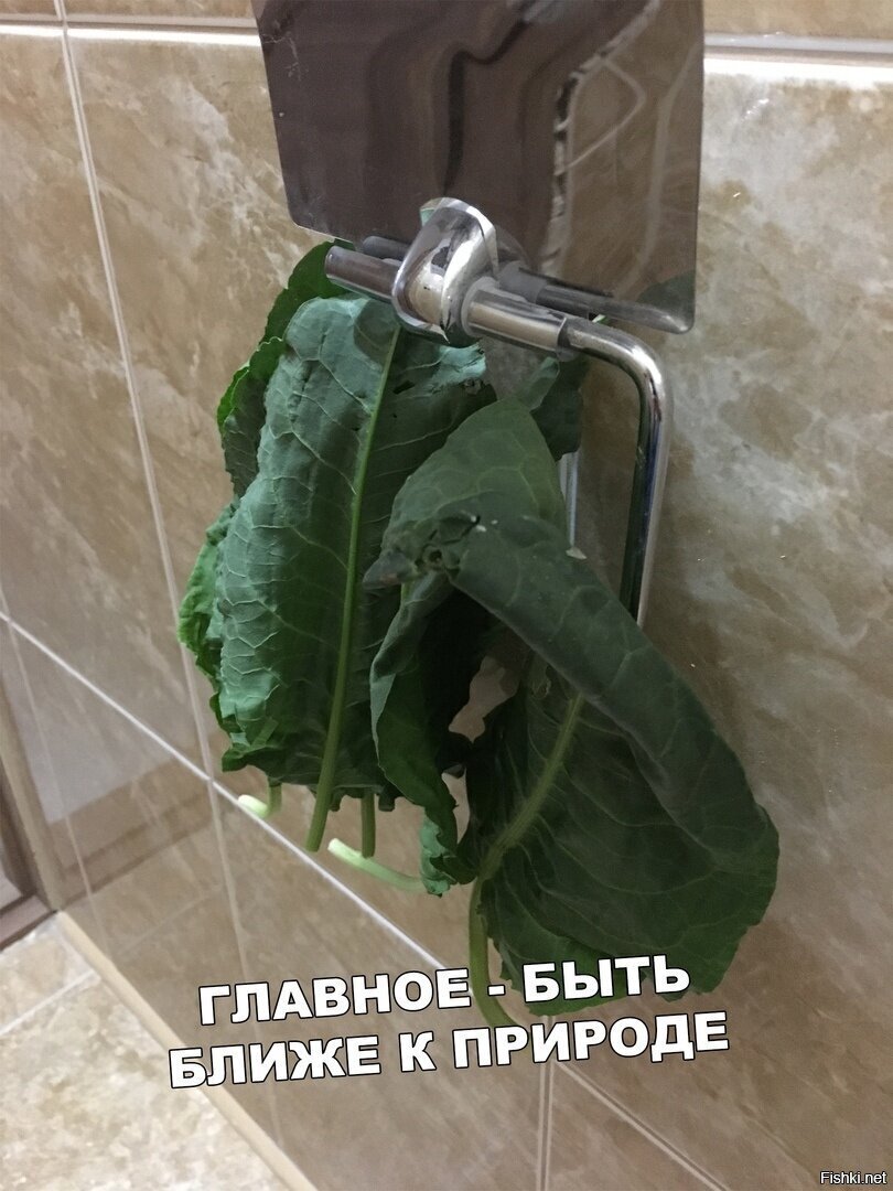 а чё не крапива
