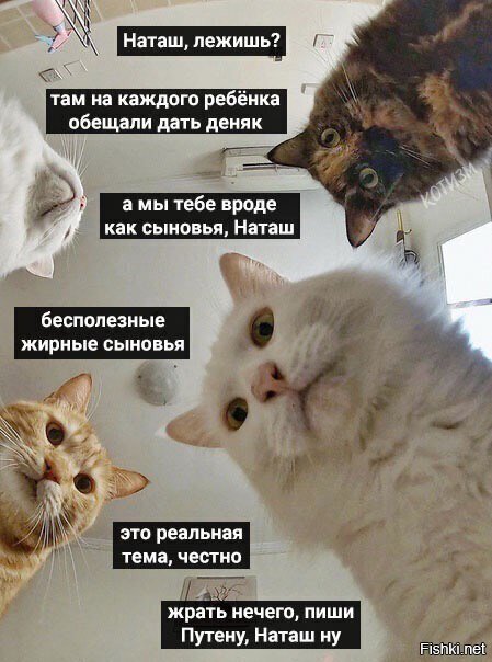 сорян, если баян))
