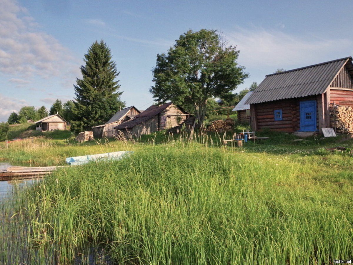 Солянка