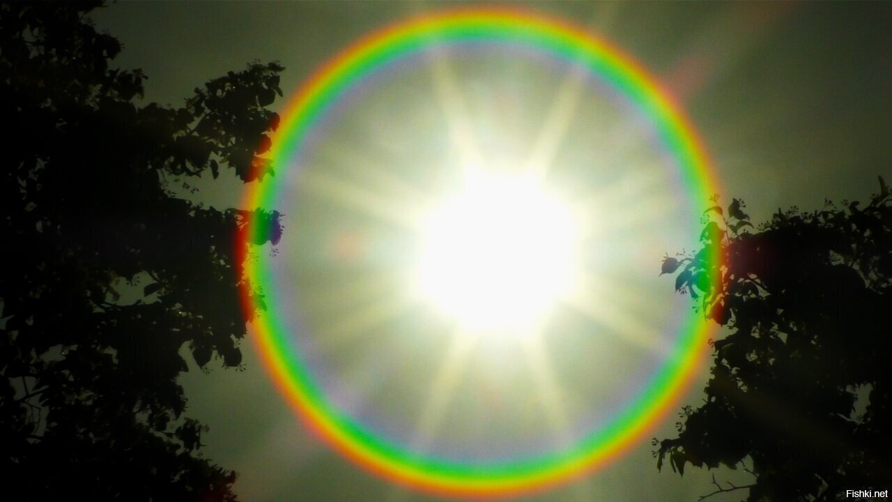 Солнце сегодня