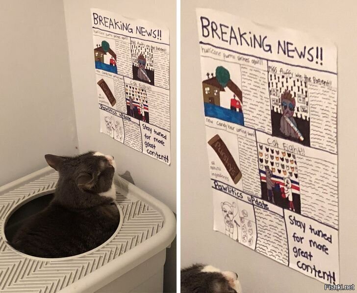 Любитель почитать в туалете