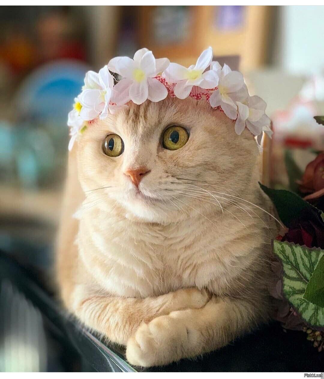 Удачной недели