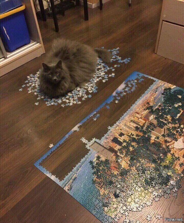 Солянка