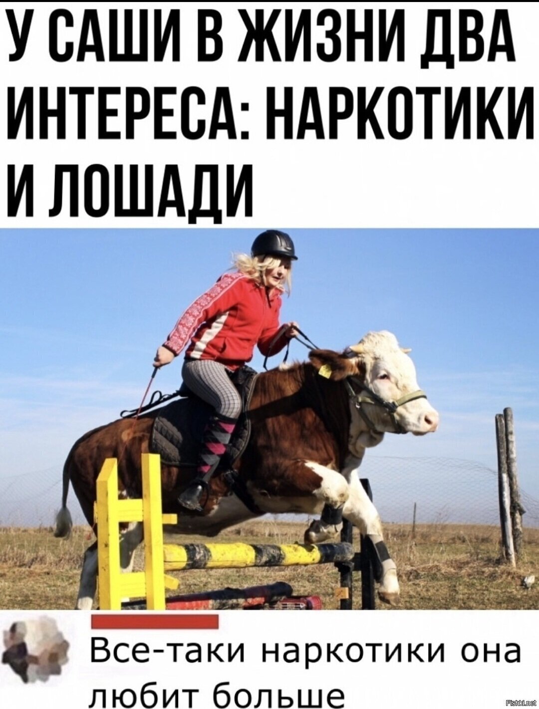Солянка