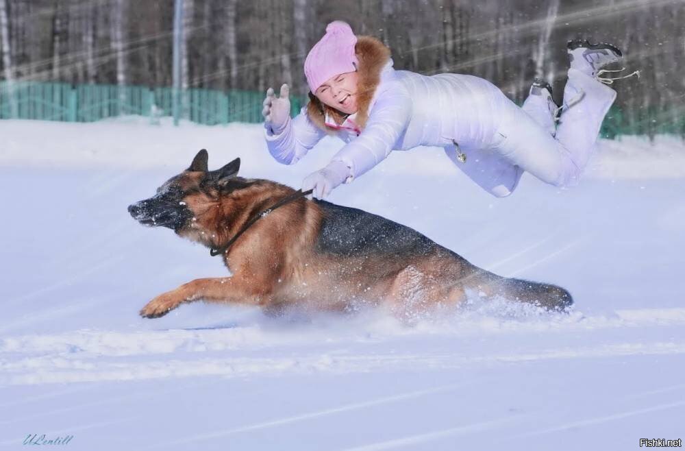 Солянка