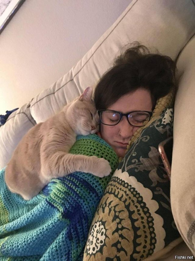 На ночь глядя