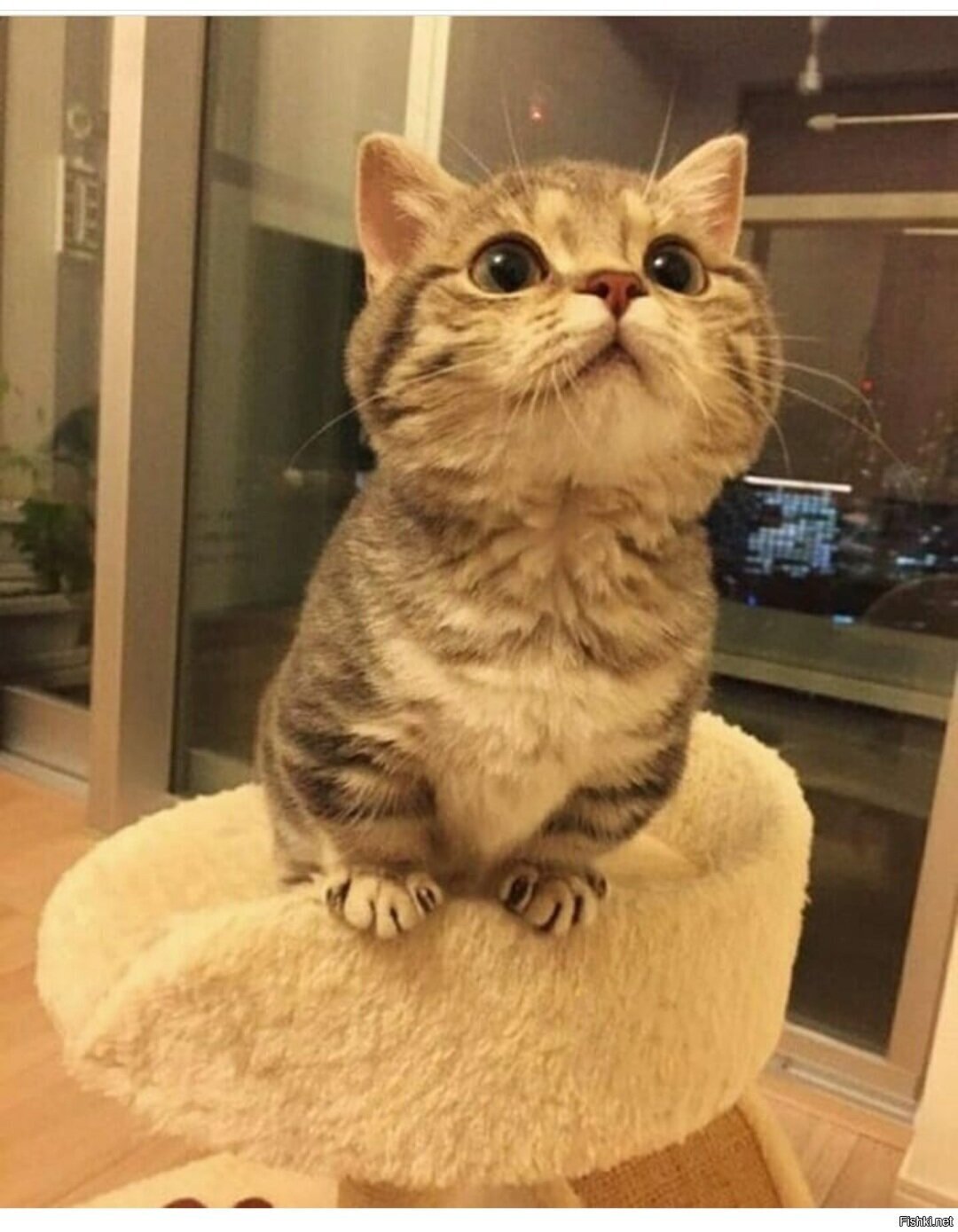 Доброе утро