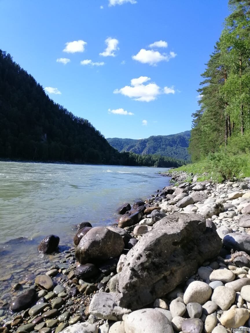 Река Катунь в Горном Алтае