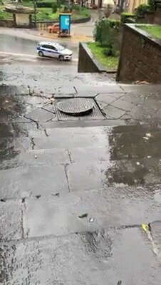 У черепашек крутая тусовка