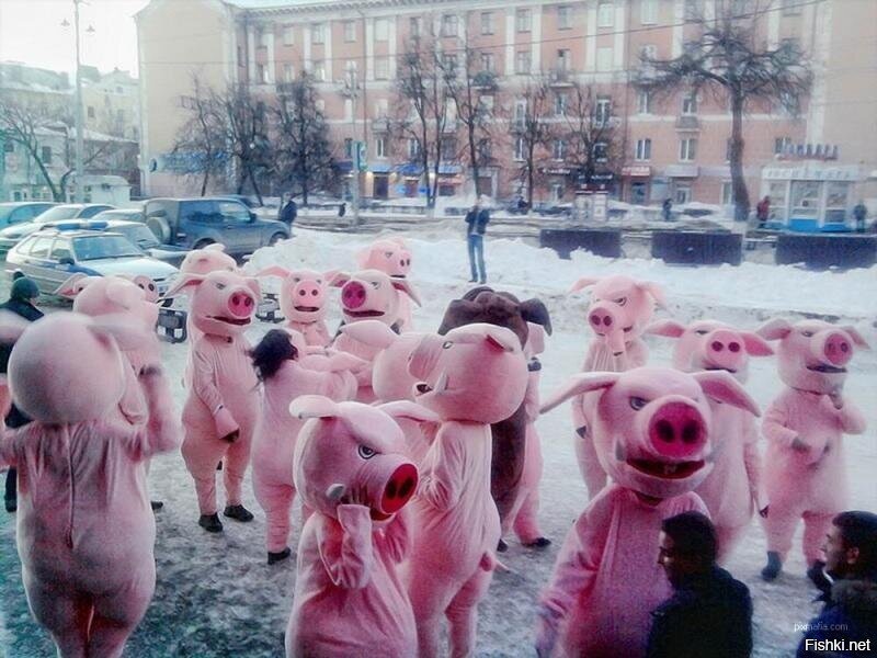 Солянка