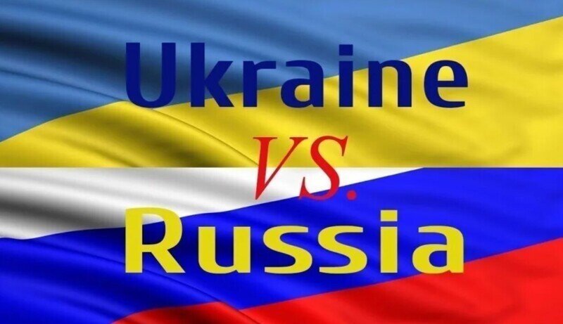 «Мощные» оборонительные сооружения Украины на границе с Россией продырявили кабаны