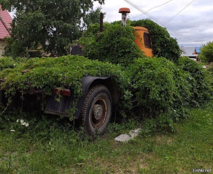 Солянка
