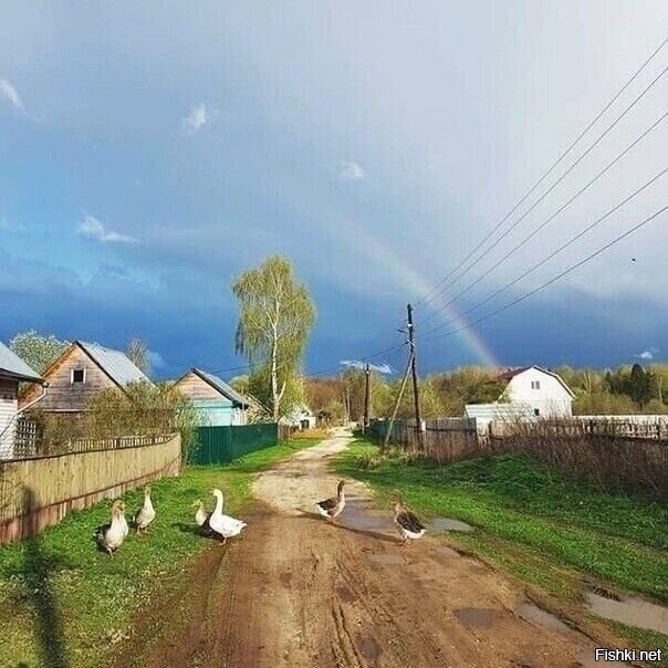 Солянка