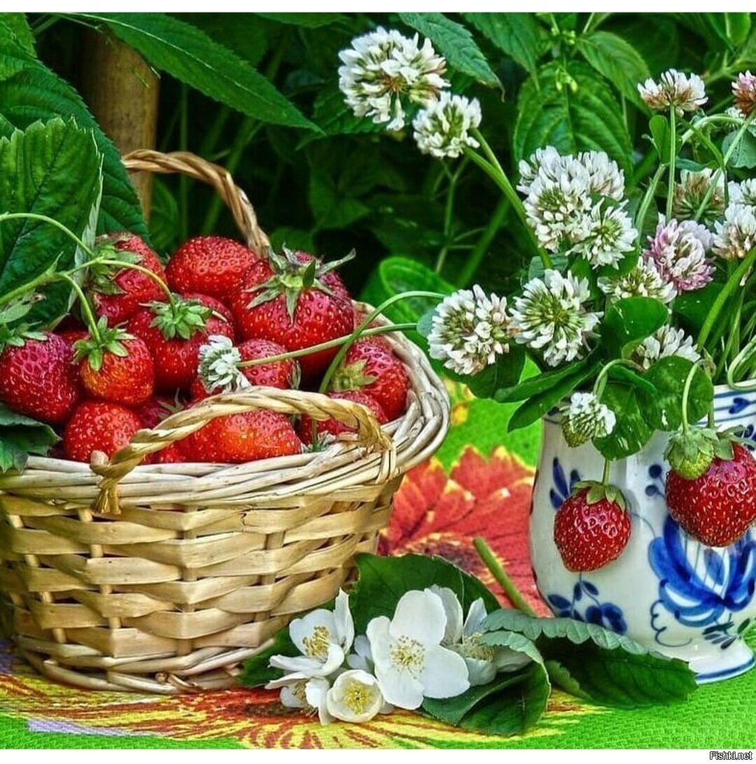 Солянка