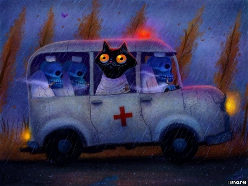 "Кошка Мурка едет в дурку"