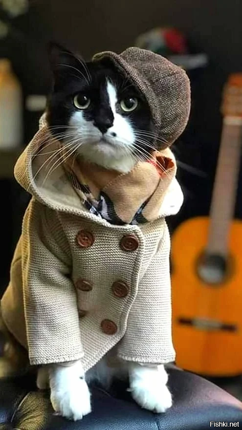 неотразим