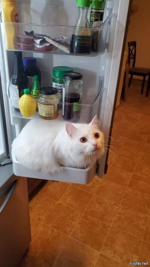 доброе утро))