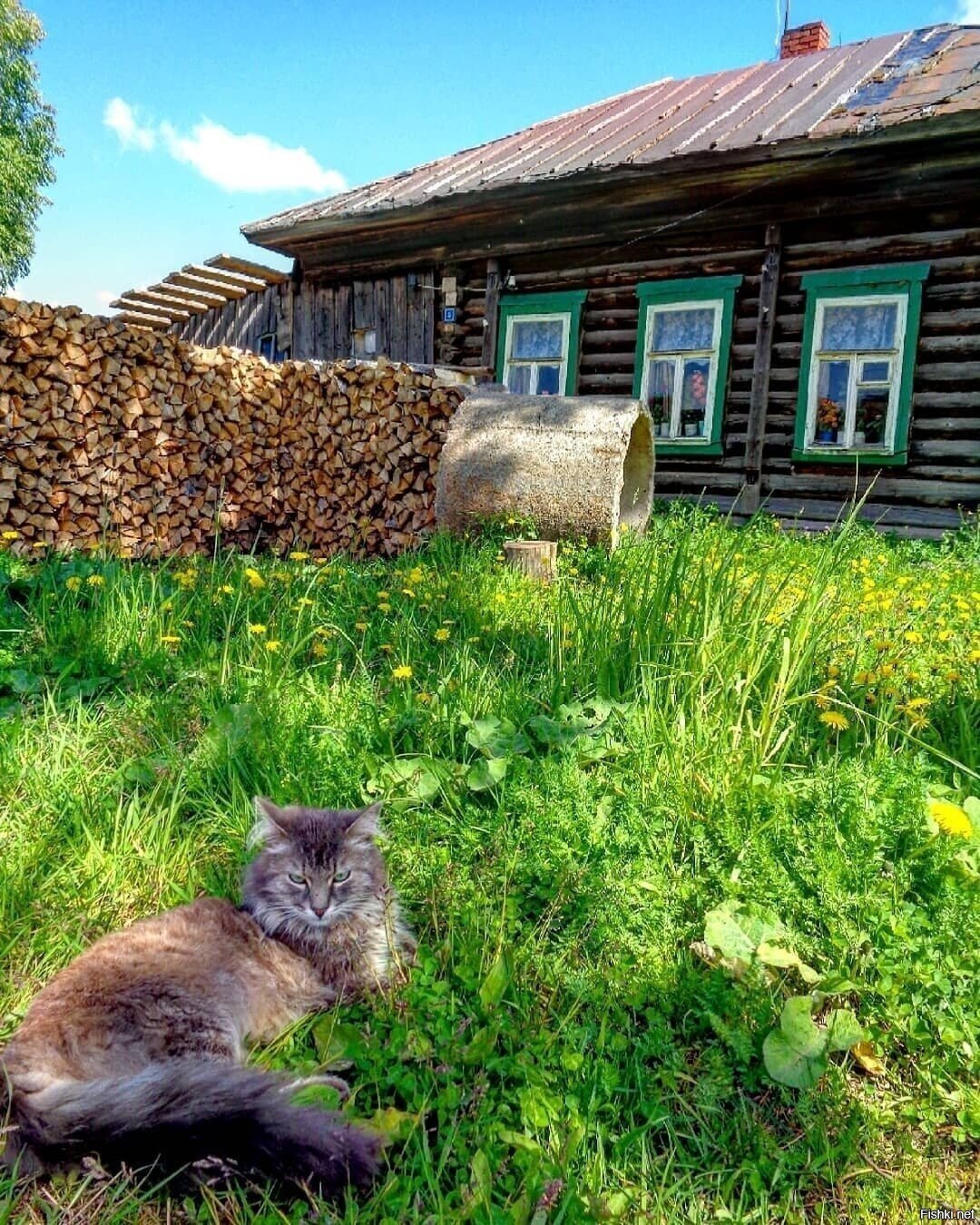 Солянка