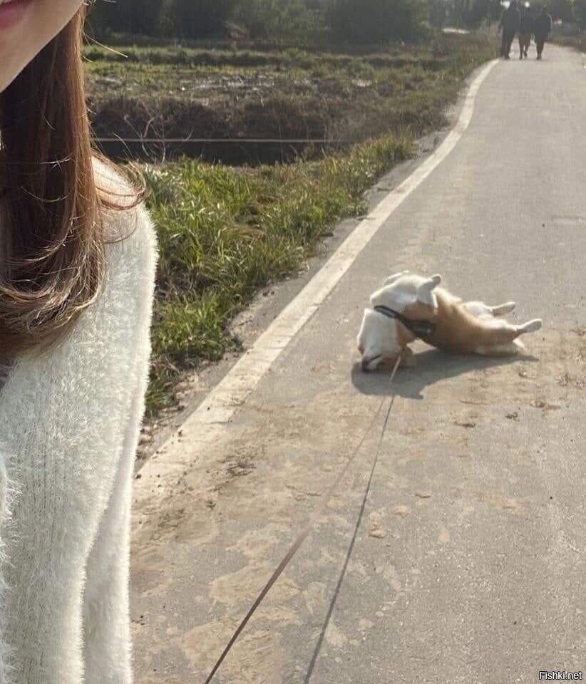 - Я не хочу гуляять