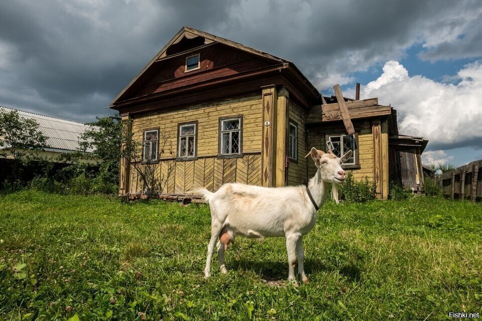Солянка