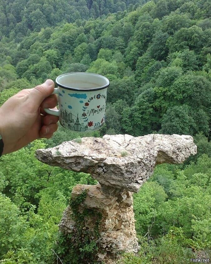 Солянка