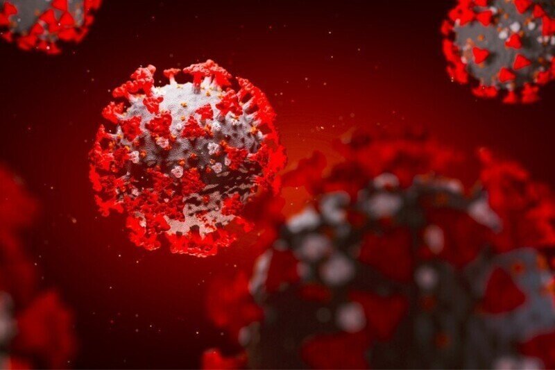 Установлено время действия антител к коронавирусу