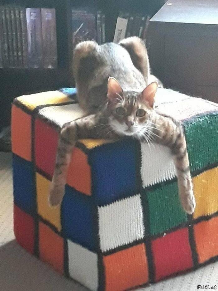 Солянка