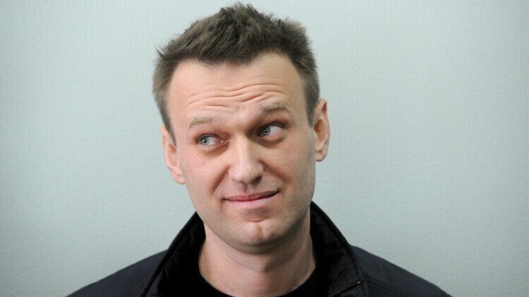 Навальный прокололся на попытке дискредитировать голосование по поправкам в Петербурге