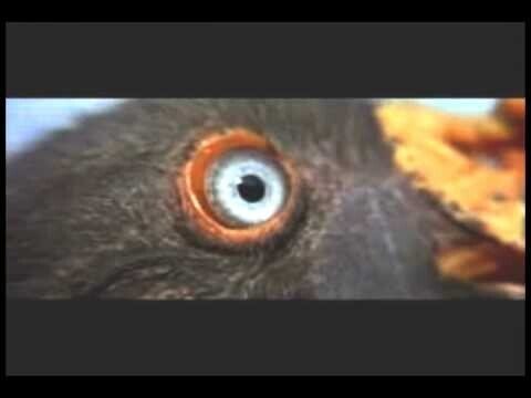 Золото Маккены