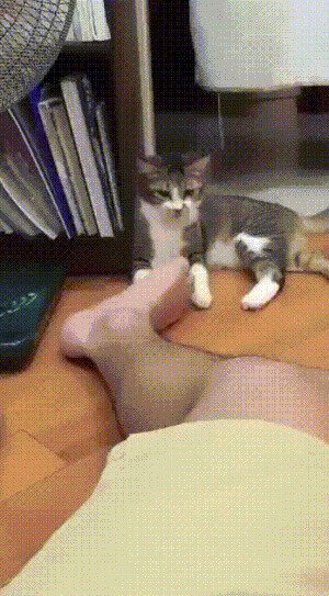 - Опять ноги не помыл