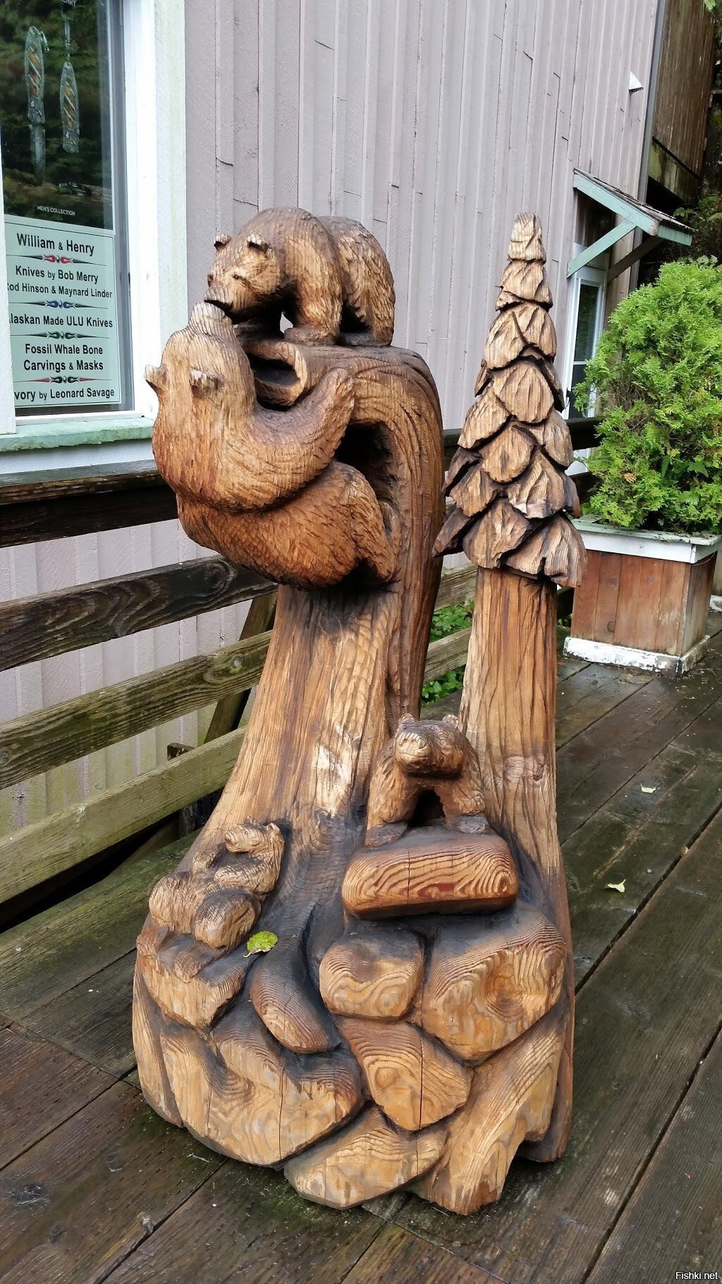 Утро в сосновом лесу