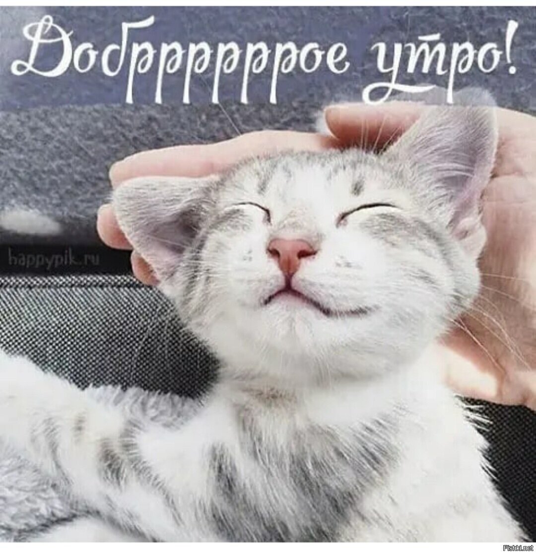 Удачной недели