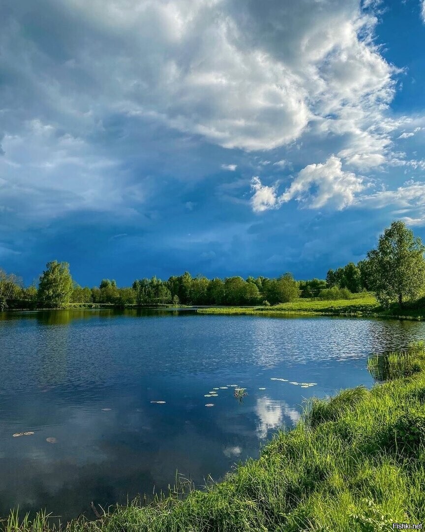 Солянка