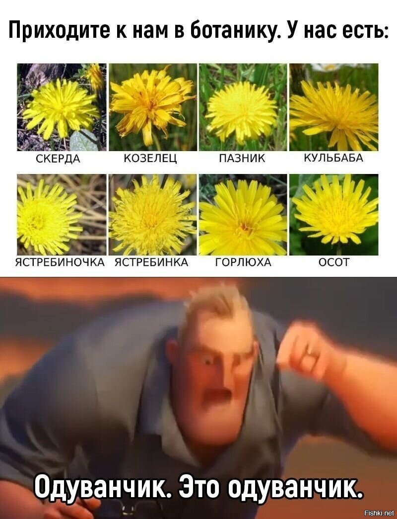 Солянка