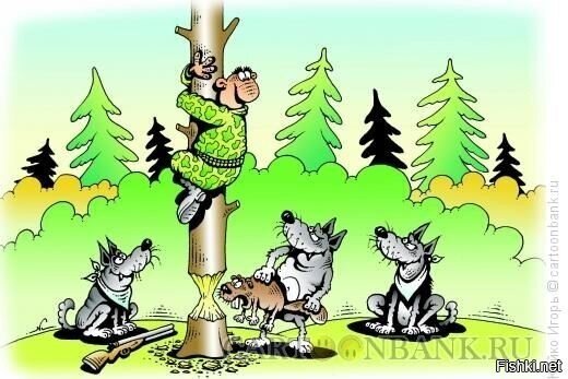 Солянка