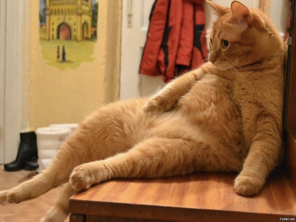 - ты разбираешься в людях