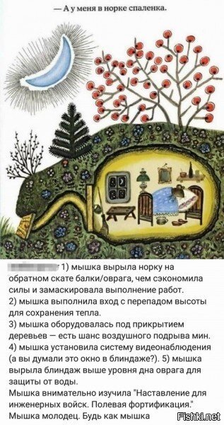 Солянка