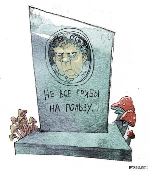 Солянка