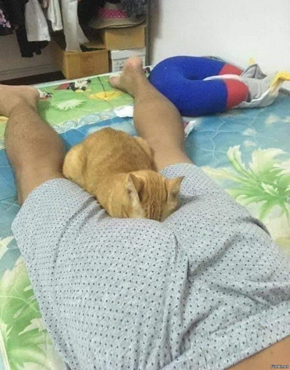 Солянка