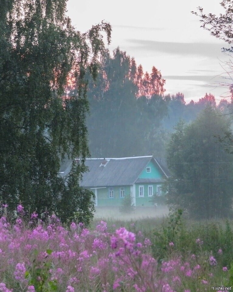 Солянка