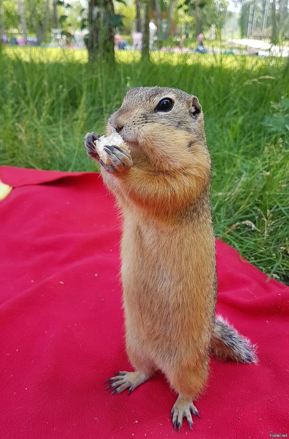 Всем привет