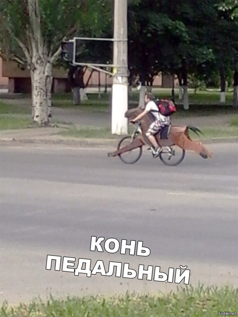 так вот он какой