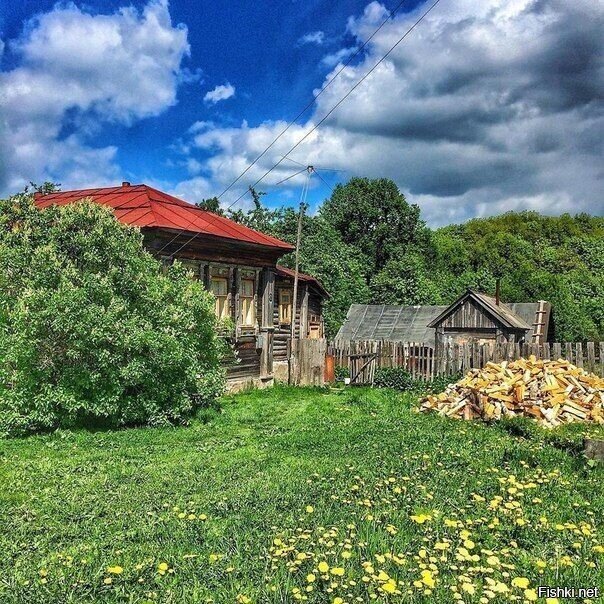Солянка