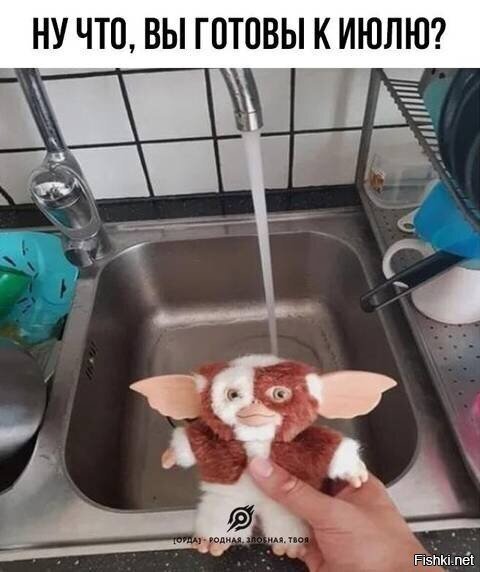 Солянка