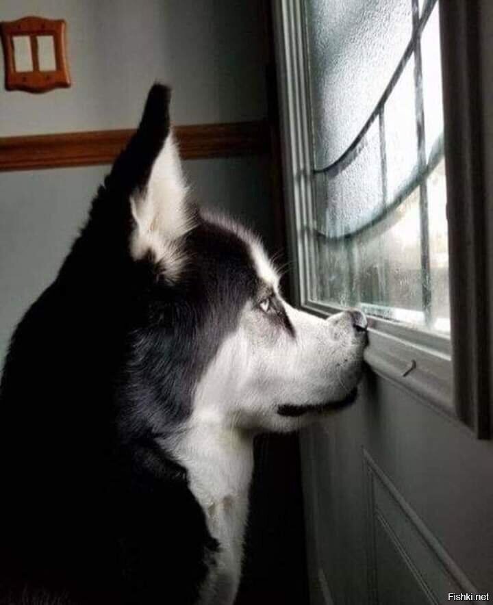 День томится ожидая,