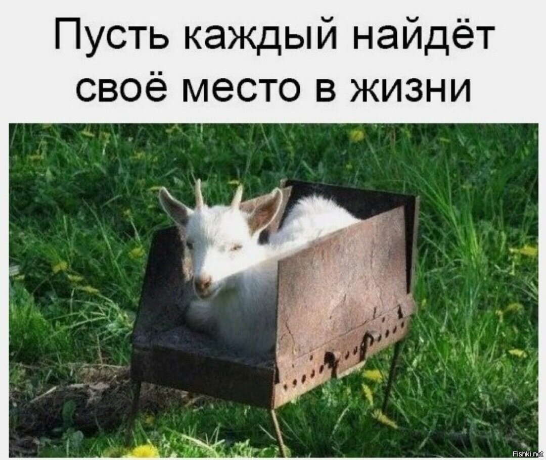 Для подруг-минусаторов