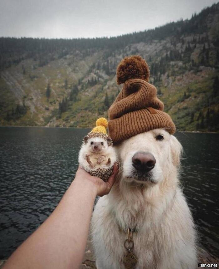 К заглавной)